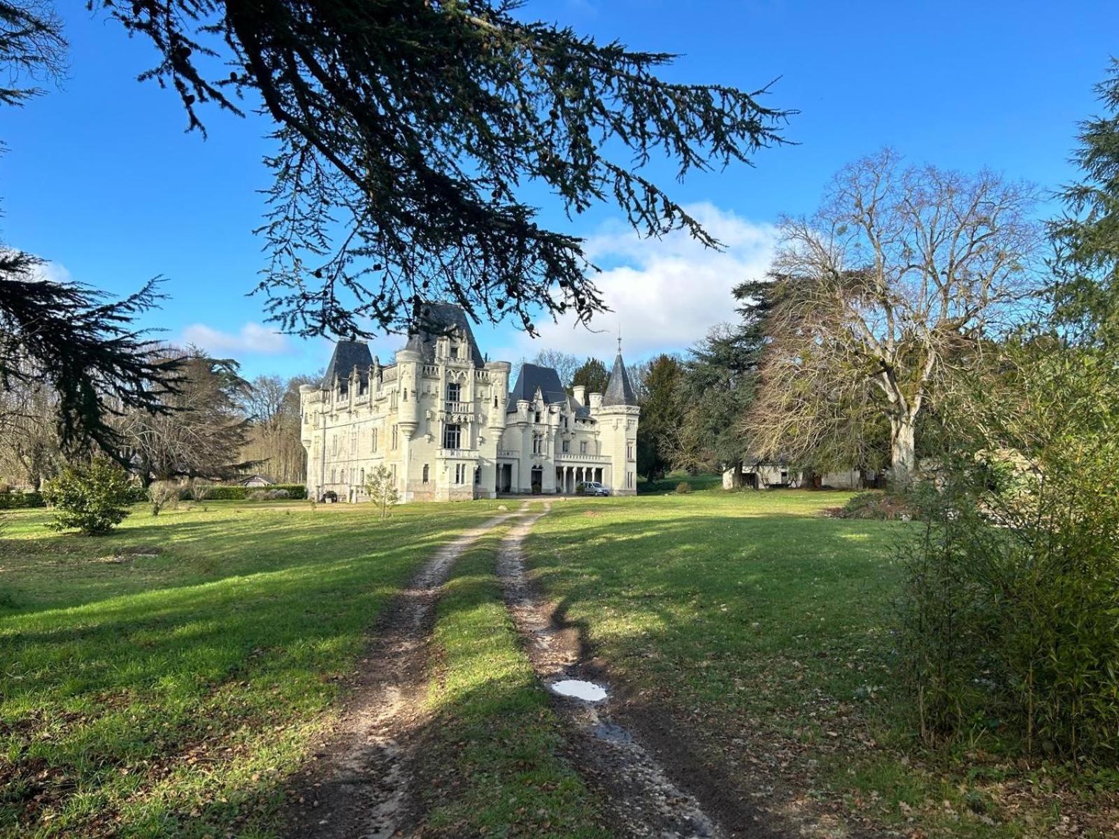 Chateau de Salvert - Gites Neuillé Exterior foto